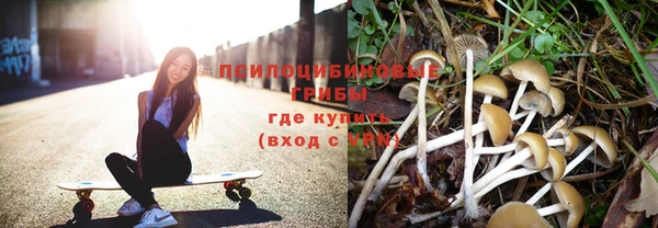 МДПВ Абдулино