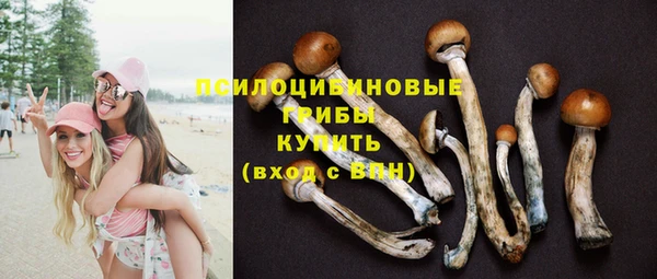 МДПВ Абдулино