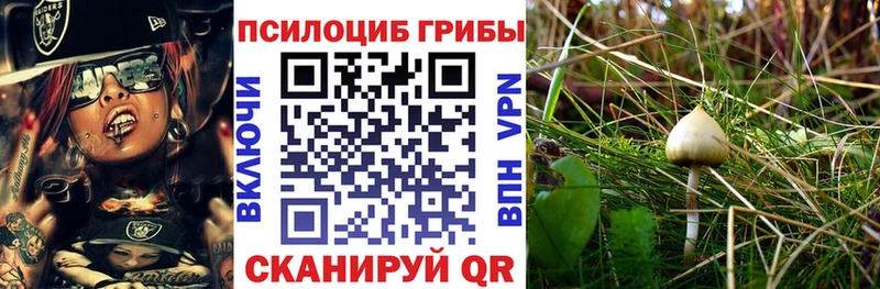 Псилоцибиновые грибы ЛСД  Зеленокумск 