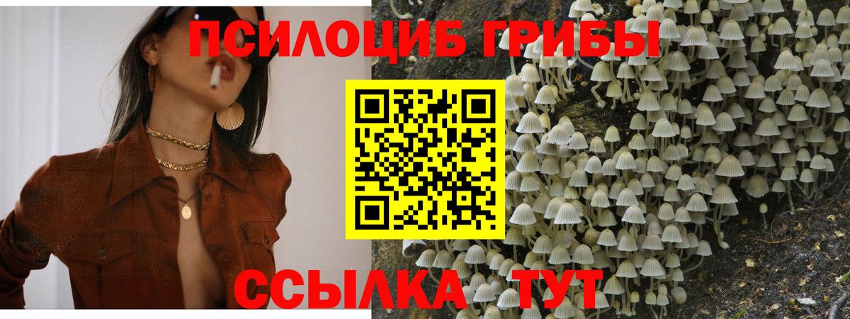 Зеленокумск  Псилоцибиновые грибы мицелий  Вход с VPN 
