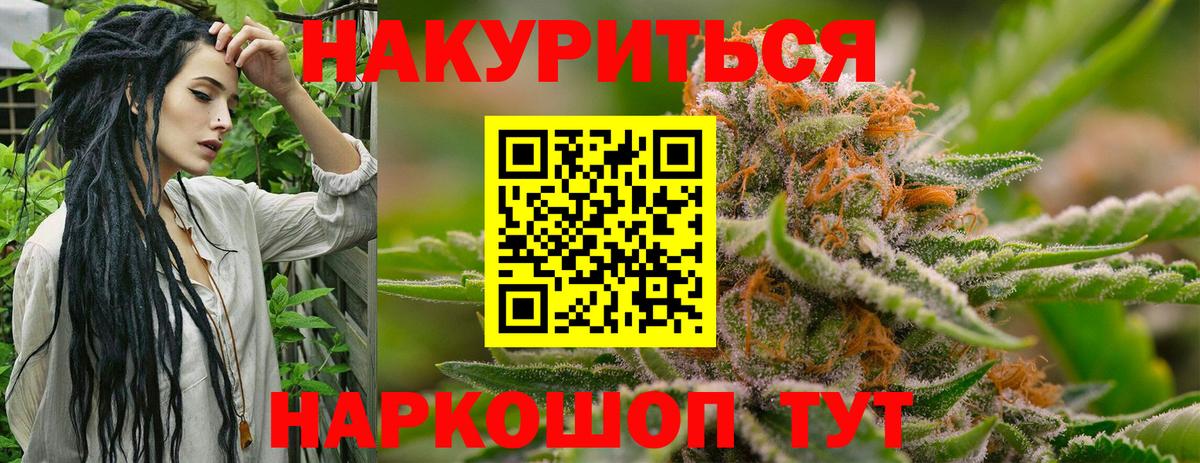 Конопля сатива Зеленокумск